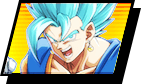 select_vegetto_on.png